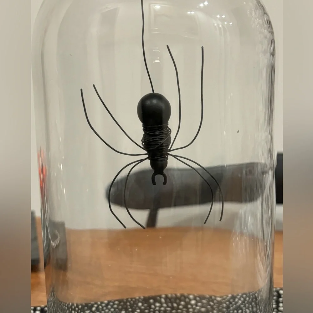 Pottery Barn Halloween Spider 🕷️ cloche